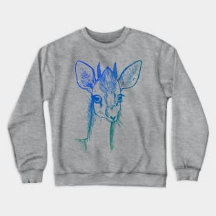 Dik-Dik Blue/Green Crewneck Sweatshirt